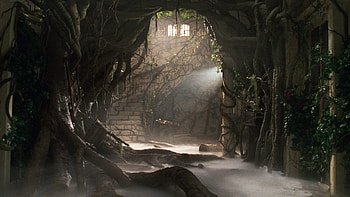 Jumanji, Rhino encounter, Blu-ray test, Ultra digital copy HD wallpaper