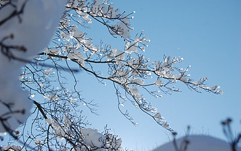 Winter, beautiful, nature, amazing, stunning HD wallpaper