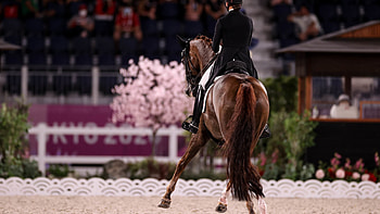 Cathrine Dufour, Dressage HD wallpaper