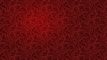 Patterns, Bright, Texture, Lines, Textures, Surface, Color HD wallpaper