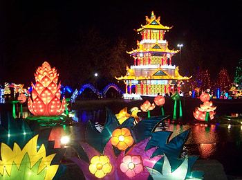 Korea Lotus Lights Festival, gold, lights, house, lotus HD wallpaper