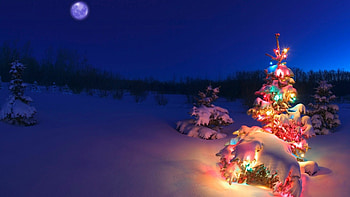 Fairy Lights, Festive , Christmas backgrounds, Joyful celebration HD wallpaper