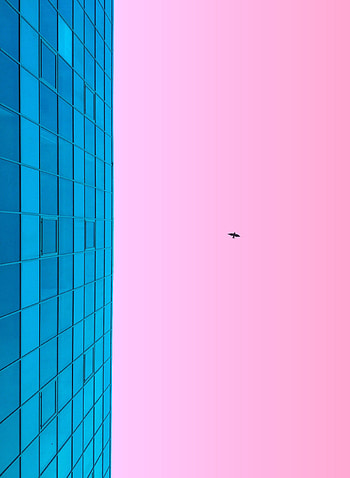 Sky, Pink, Building, Bird, Minimalism HD phone wallpaper