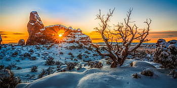 Sunrise, winter, snow, nature, tree HD wallpaper