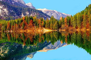 Lake Tovel, crystal, serenity, tranquil, nice, quiet, shore, reflection, trees, autumn, calm, fall, beautiful, Italy, lake, mountain, mirrored, Tovel, clear, lovely HD wallpaper