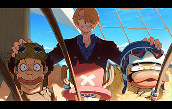 one piece wall, Sanji (One Piece), Tony Tony Chopper, Usopp (One Piece) HD wallpaper