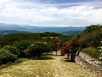 Nature, Trees, Sky, Garden, Settlement, Xochicalco, Shochikalko HD wallpaper