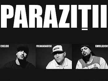 Parazitii, hop, hiphop, hip HD wallpaper