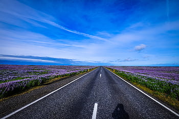 Straight road flanked by vibrant lavender fields under a vast blue sky, capturing tranquility and natural beauty. HD wallpaper