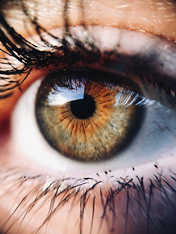 A detailed close-up of a brown hazel human eye, showcasing the iris and eyelashes. HD phone wallpaper