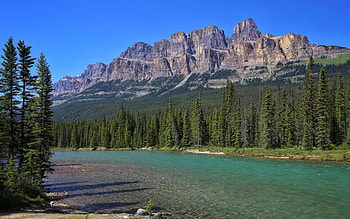 Castle Mountain in Banff, forest, canada, alberta, river, trees, sky HD wallpaper