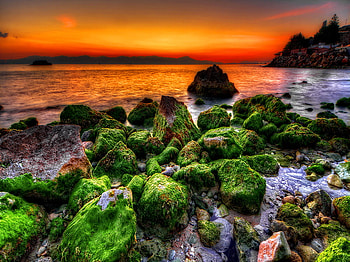 Rocks, glow, peaceful, sunrise, beach, shore, reflection, calm, ocean, sunset, sea, sundown, beautiful, orange, stones, red, clouds, nature, sky HD wallpaper