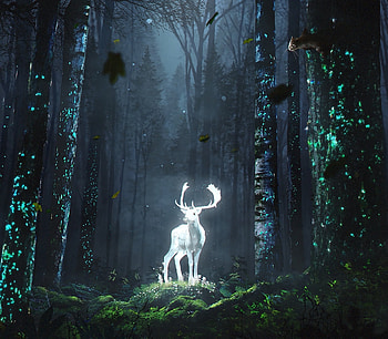 Forest, wild deer, glow, fantasy, art HD wallpaper