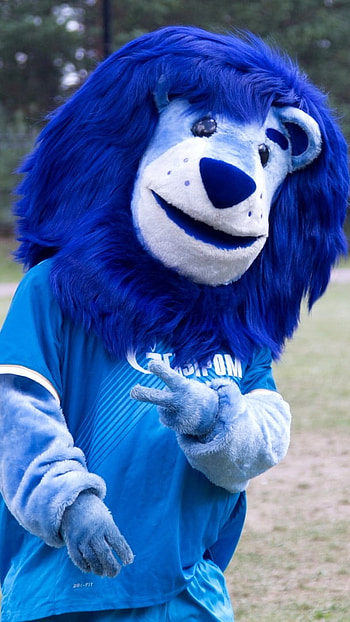 Blue Lion, Playground, Background HD phone wallpaper
