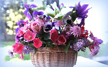 Plants, Flowers, Bouquets HD wallpaper