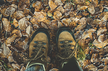 Autumn, Miscellanea, Miscellaneous, Legs, Foliage, Boots, Shoes HD wallpaper