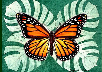 Monarch Butterfly, abstract, leaf pattern, art, deep green HD wallpaper