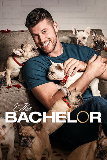 The Bachelor: A Playful Experience, TV Show HD phone wallpaper