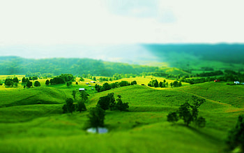Landscape, Nature, Trees, Fields, Greens, Hills, Optical Illusion, Slopes, Deception Of View HD wallpaper