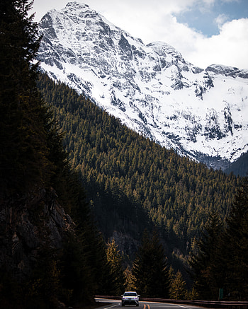 Landscape, Nature, Mountains, Road, Forest, Slopes HD phone wallpaper