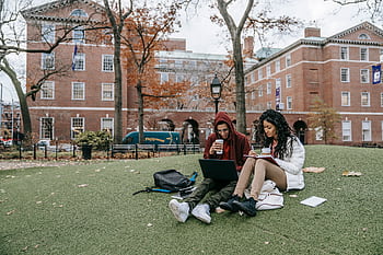 College students studying with laptops and books in a park during fall. HD wallpaper