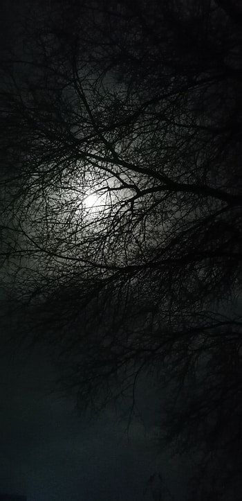 Moon horror, Sky, Dark, Black HD phone wallpaper