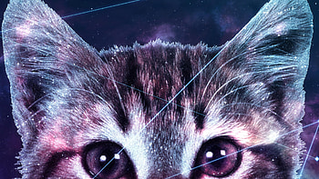 Galaxy Cat, Whiskered explorer, Stellar journey, Cosmic curiosity HD wallpaper