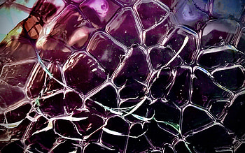 transparent foam, , macro, soap bubbles, white foam background, foam textures, foam backgrounds, foam HD wallpaper