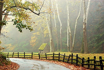 casuta mea..., padure, casuta, gard, aer HD wallpaper
