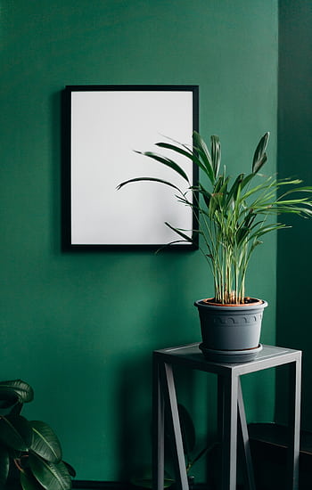A stylish home interior featuring a blank frame and a potted plant against a green wall, perfect for minimalist ideas. HD phone wallpaper