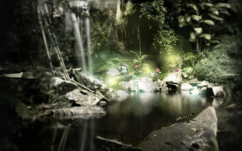 Wonderful forest, forests, 3d HD wallpaper