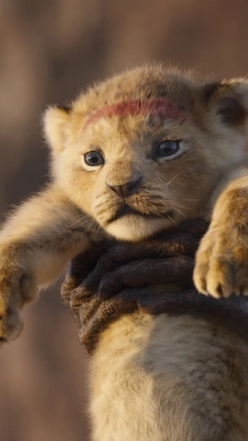 Lion King, Baby Simba HD phone wallpaper