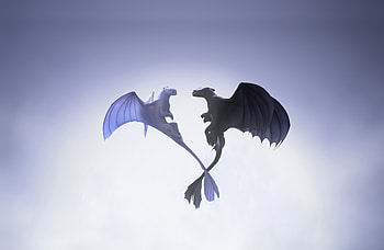 Night and light fury, love in air, dragons, flight HD wallpaper
