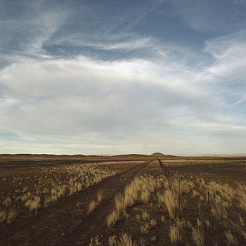 Nature, Grass, Hills, Fence, Steppe HD phone wallpaper