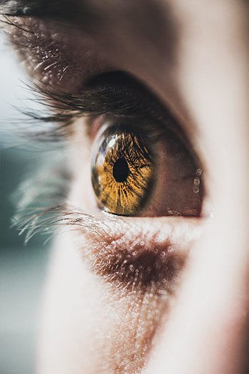 Close up, eye, human HD phone wallpaper