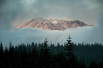 Nature, Trees, Sky, Mountains, Fog HD wallpaper