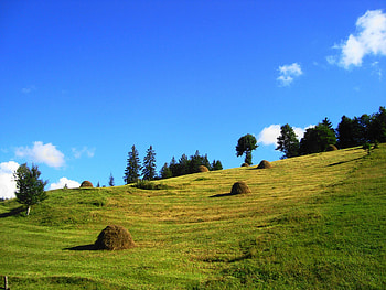 Summer theme, Vibrant scenery, Petrovo Polje HD wallpaper