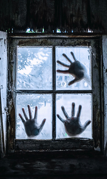 Palms, Miscellanea, Miscellaneous, Palm, Glass, Hands, Window HD phone wallpaper