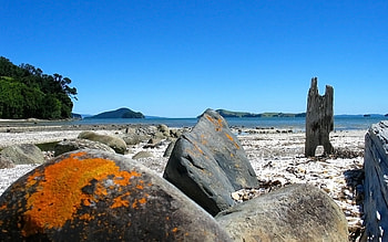 Coromandel, New Zealand, blue, blue sky, new zeland, sky, water, ocean HD wallpaper