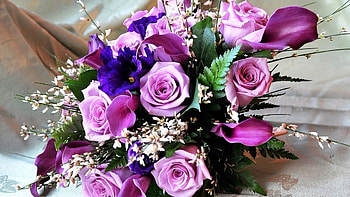 Plants, Flowers, Bouquets HD wallpaper