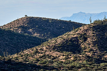 Nature, Cactuses, Grass, Mountains, Hill HD wallpaper