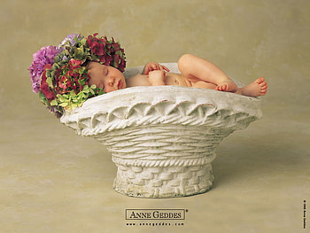 baby, basket, anne geddes, sleep, flower HD wallpaper