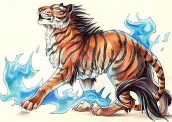 The flames of the tiger, tiger, blue fire HD wallpaper