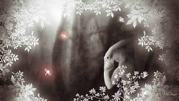 Art in Garden, gothic, firefox persona, goth, effects, dragonflies, statue, tree, leaves, light, dragonfly HD wallpaper