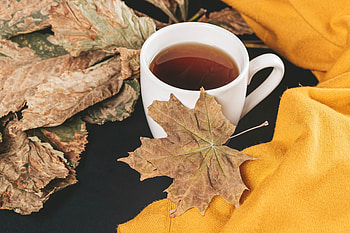 Autumn, Leaves, Miscellanea, Miscellaneous, Cup, Maple, Tea HD wallpaper