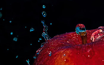 red apple, water drops, water splashes, ripe fruits, apples, background with apple HD wallpaper