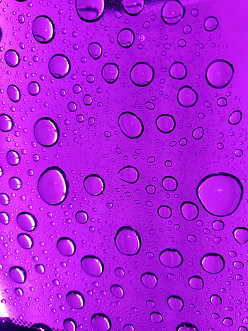 Purple Rain, drops, water HD phone wallpaper