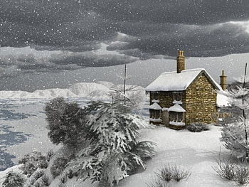 in-the-black-mid-winter, winter, iceland, trees, house HD wallpaper