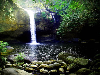 A tranquil waterfall cascading into a serene forest pool surrounded by lush greenery and smooth boulders. HD wallpaper