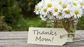 Best blooms for mom HD wallpaper